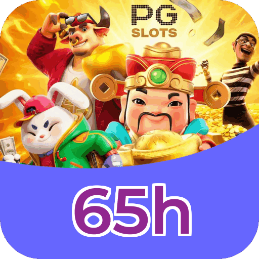 Performance 65h